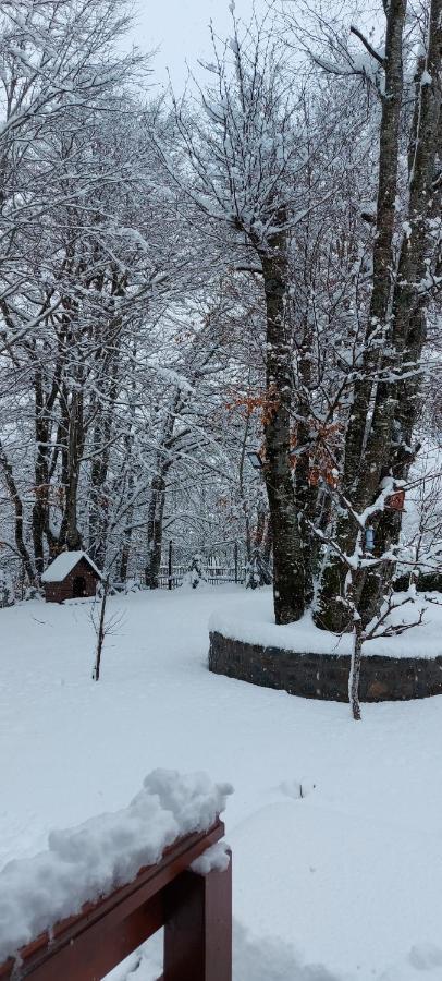 Vikendica Crkvina Villa Kolašin Екстериор снимка