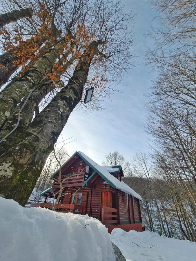 Vikendica Crkvina Villa Kolašin Екстериор снимка