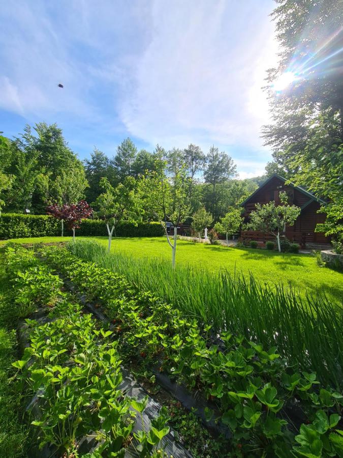 Vikendica Crkvina Villa Kolašin Екстериор снимка