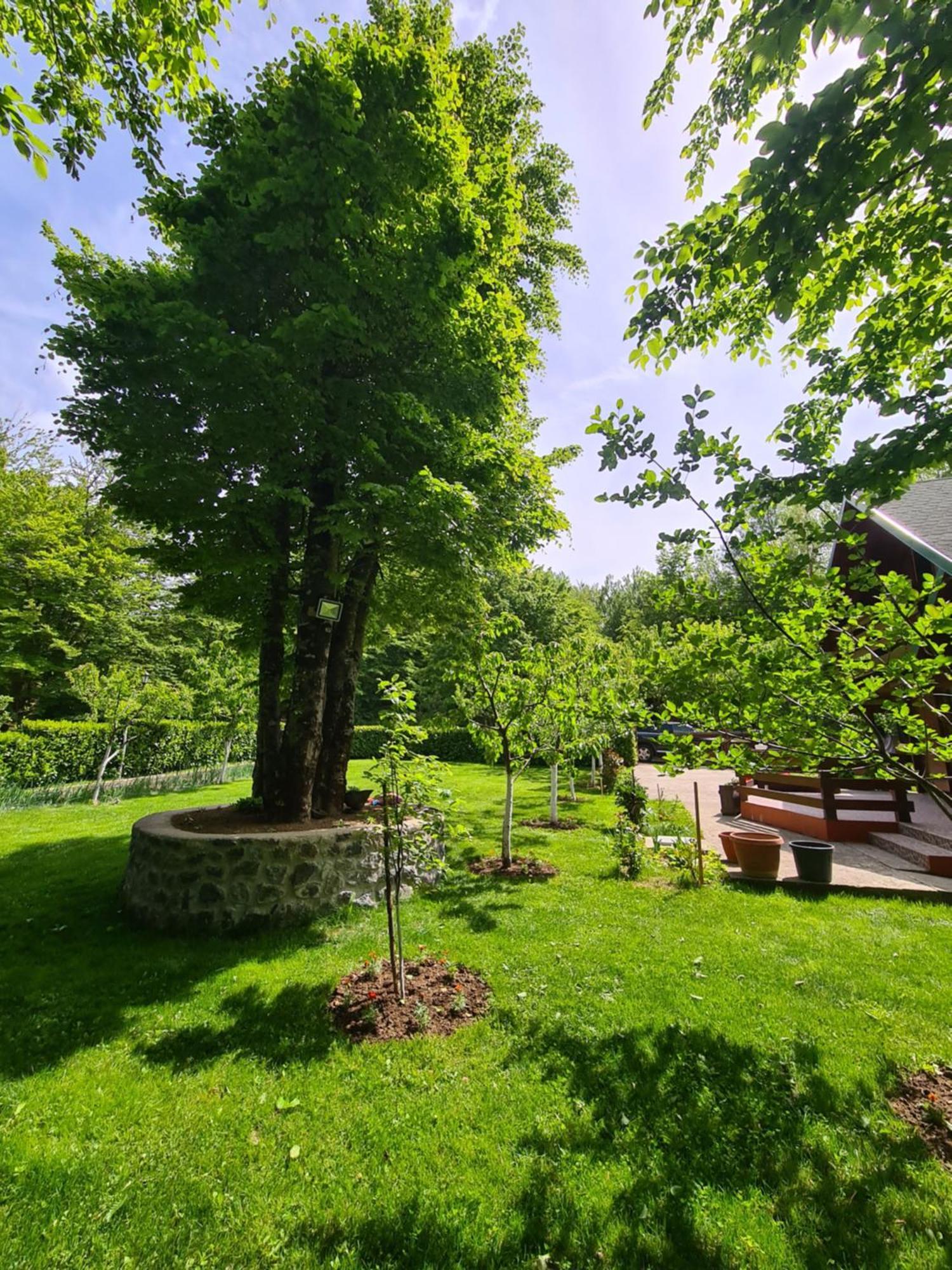 Vikendica Crkvina Villa Kolašin Екстериор снимка
